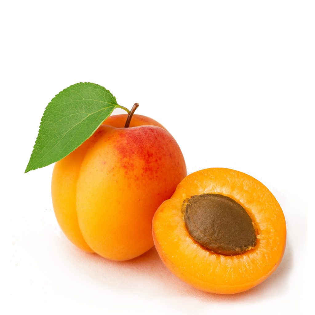 Apricot