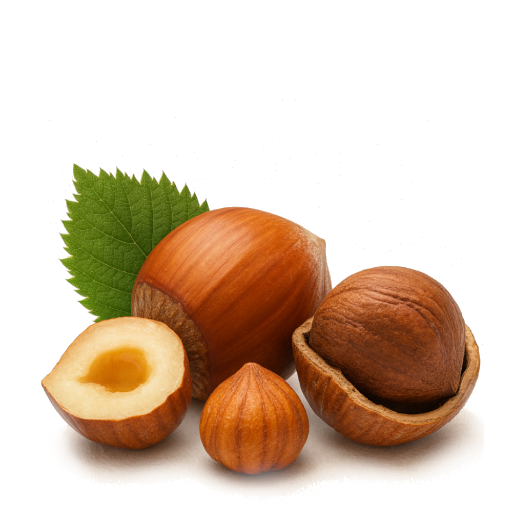 Hazelnut