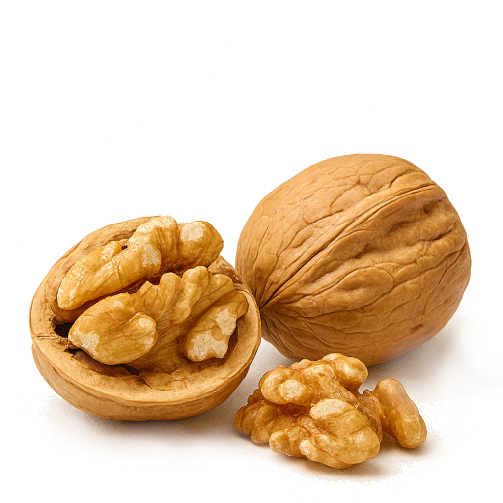 Walnut